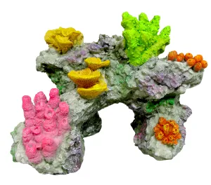 Marina Coral Reef Rock, Medium