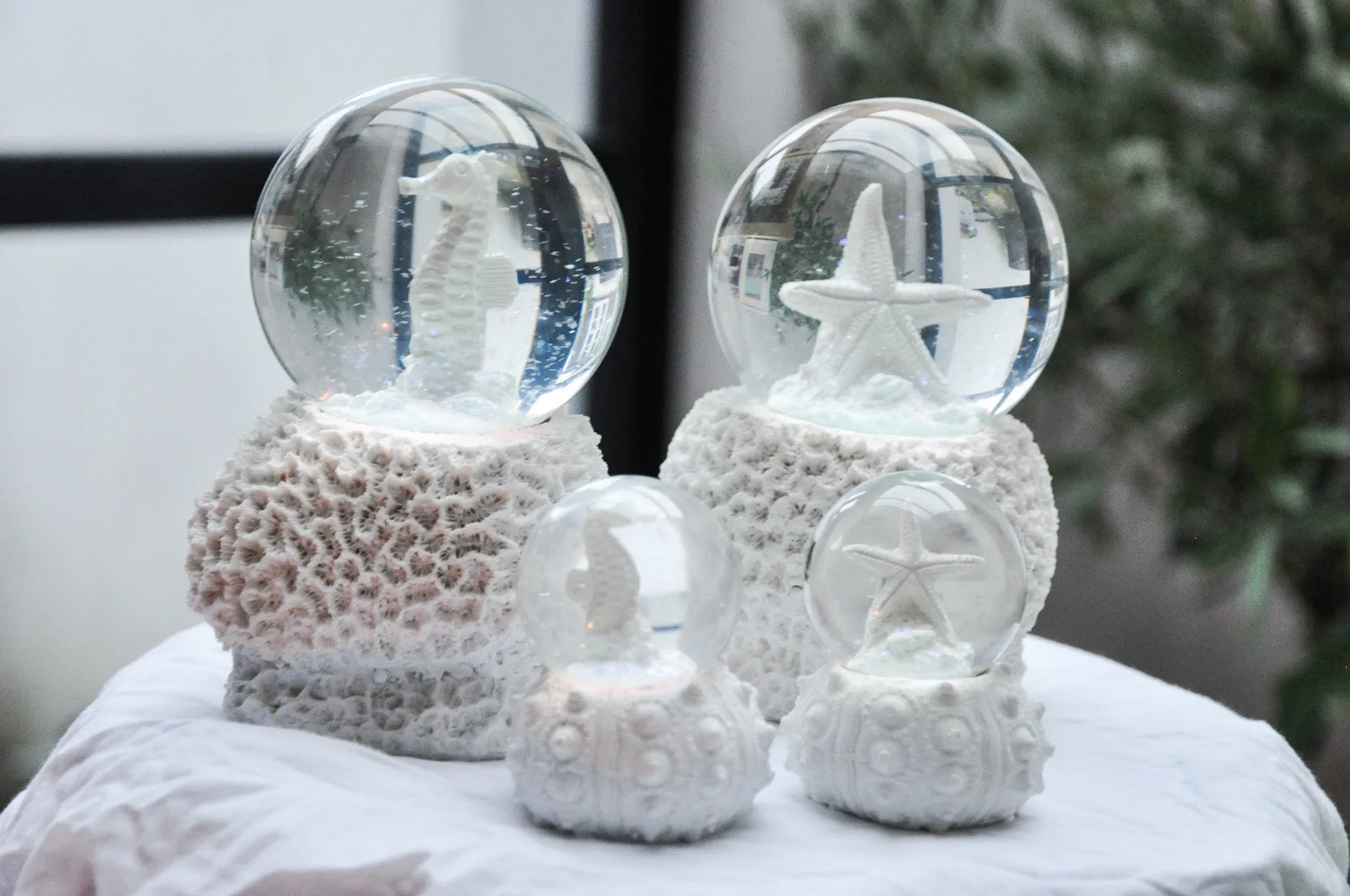 Small Seahorse Snow globe