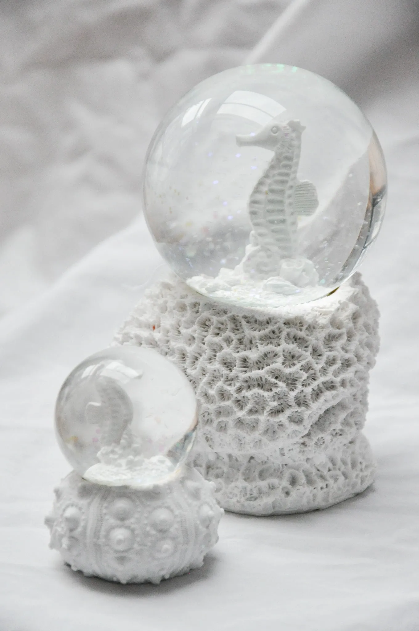 Small Seahorse Snow globe