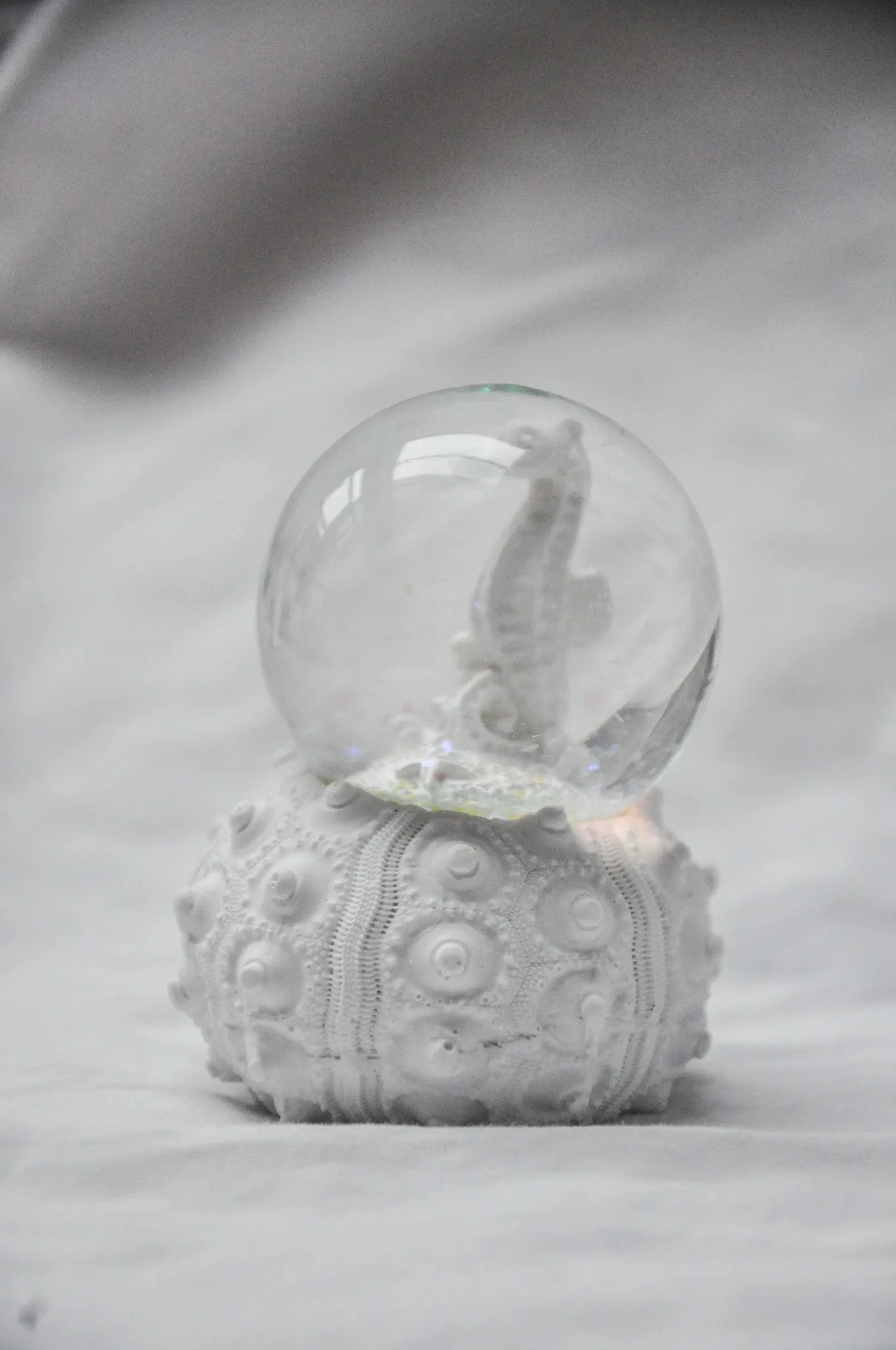 Small Seahorse Snow globe